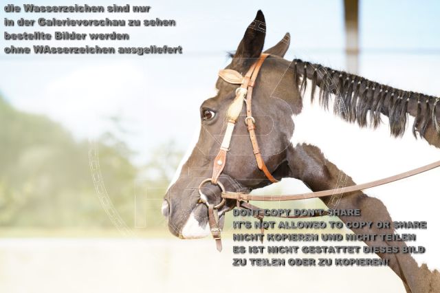 a_K3F09900.JPG